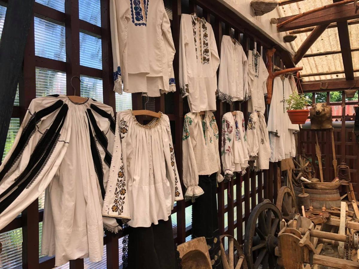 فندق Casa Vlad Haţeg المظهر الخارجي الصورة